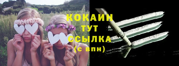 PSILOCYBIN Аркадак