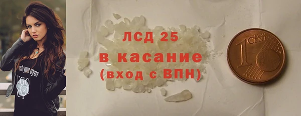 PSILOCYBIN Аркадак