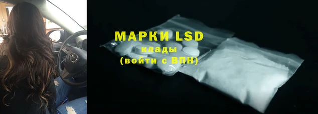 PSILOCYBIN Аркадак