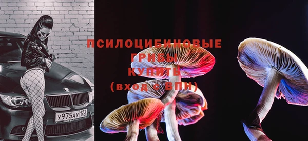 PSILOCYBIN Аркадак