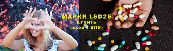 PSILOCYBIN Аркадак