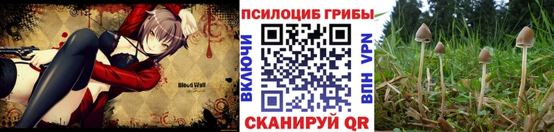 ОМГ ОМГ   Слюдянка  Псилоцибиновые грибы ЛСД 